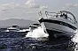 Bavaria 30HT Sport  - 2