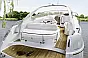 Bavaria 37 Sport Highline  - 2